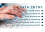 fast and accurate data entry, excel work, copy paste, and web research